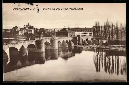 AK Frankfurt a. M., Partie an der alten Mainbrücke, Panorama
