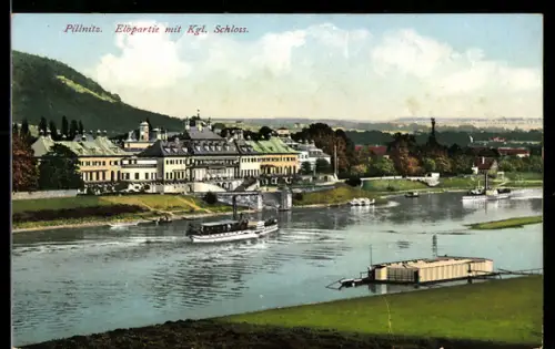 AK Dresden-Pillnitz, Elbpartie mit Kgl. Schloss