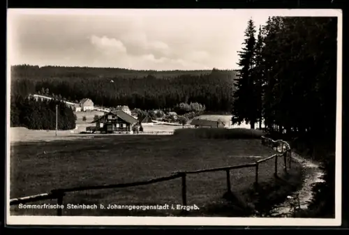 AK Steinbach b. Johanngeorgenstadt, Waldlandschaft, Häuser