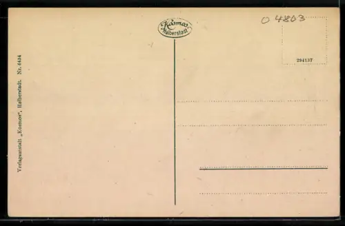AK Bad Kösen, Die Rudelsburg