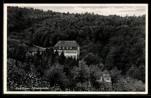AK Bad Essen, Friedenshöhe, Gebäudeensemble mit Umgebung