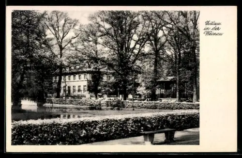 AK Zittau, In der Weinau, Parkanlage mit Teich und Gebäude