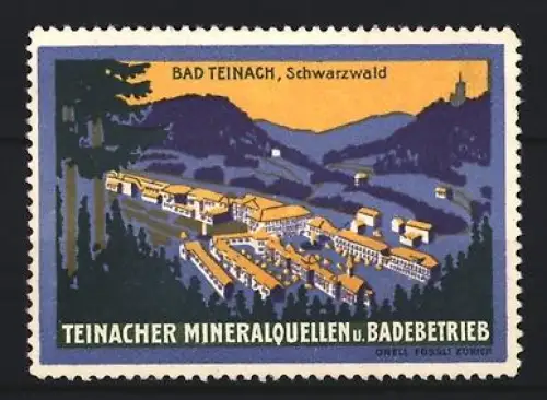 Reklamemarke Bad Teinach, Teinacher Mineralquellen u. Badebetrieb, Ortsansicht