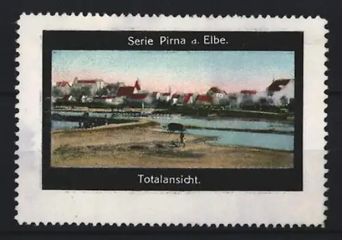 Reklamemarke Pirna a. Elbe, Totalansicht des Ortes