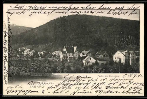 AK Tabarz, Partie am Datenberg, Ortspanorama