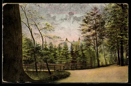 AK Glauchau, Blick zum Schloss durch den Schlosspark
