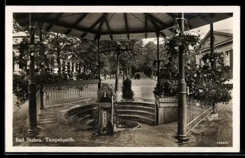 AK Bad Steben, Stahl- u. Moorbad, Tempelquelle mit Allee