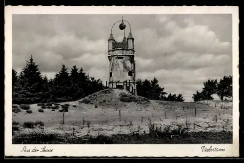 AK Senne, Diebesturm, Panorama