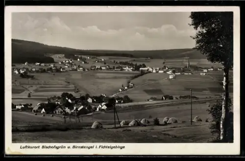 AK Bischofsgrün /Fichtelgebirge, Ortsansicht mit Birnstengel