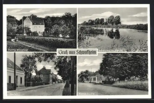 AK Schwafheim, Partie Waldlust, Dorfstrasse, Kaiserbuche