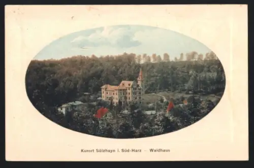 AK Sülzhayn i. Süd-Harz, Hotel Waldhaus