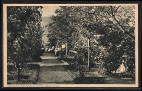 AK Bingen a. Rhein, Institut St. Maria der Englischen Fräulein, Gartenpartie mit Blick auf den Niederwald