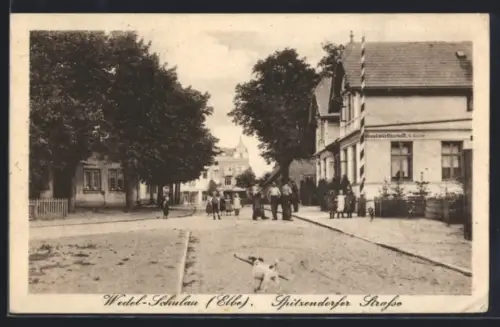 AK Wedel-Schulau, Spitzendorfer Strasse mit Gastwirtschaft und Bürgern