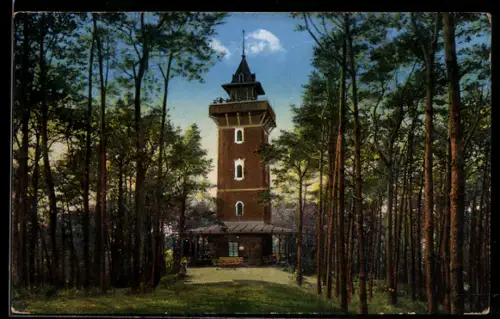 AK Woltersdorfer-Schleuse, Partie am Aussichtsturm auf den Kranichsbergen