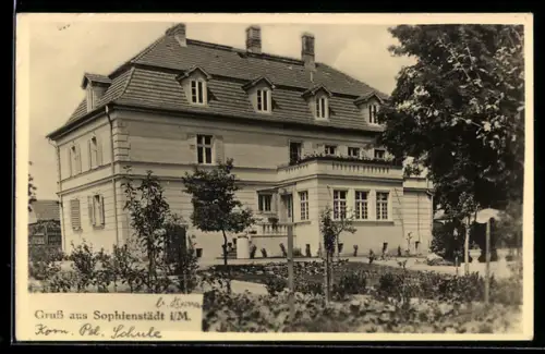 AK Sophienstädt i. M., Schloss und Polizeischule