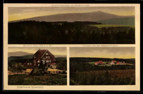 AK Torfhaus /Oberharz, Brocken-Panorama, Wulfert`s Hotel, Ortsansicht v. d. Magdbett-Klippen