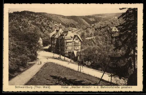 AK Schwarzburg /Thür. Wald, Hotel Weisser Hirsch von der Bahnhofstrasse gesehen
