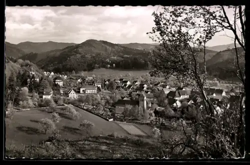 AK Bad Sulzburg, Blick über die Klosterkirche auf die Stadt