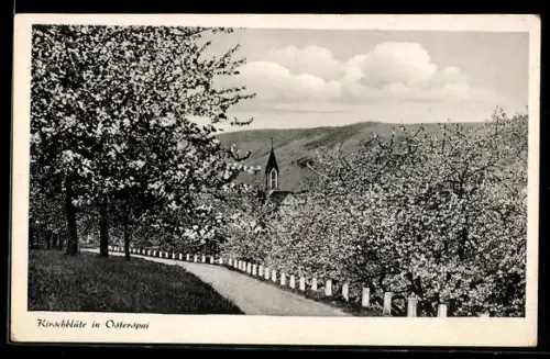 AK Osterspai am Rhein, Kirschblüte, Kirche