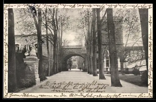 AK Koblenz, Augusta-Anlagen, Allee mit Brücke und Statue