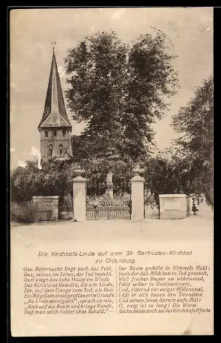 AK Oldenburg / O., Kirchhofs-Linde auf dem St. Gertruden-Kirchhof