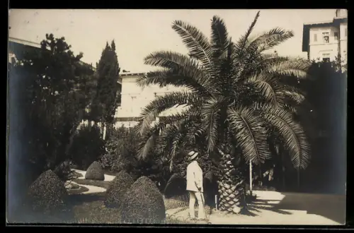 AK Abbazia, Mann im Park vor Palme