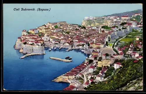 AK Cieli Dubrovnik /Ragusa, Panorama mit Hafen