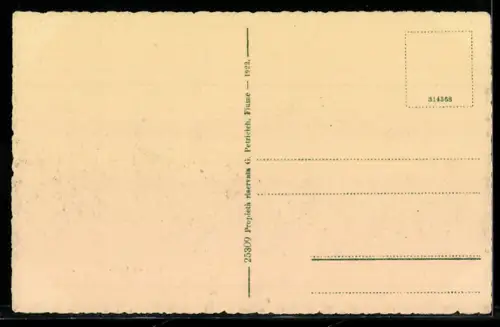 AK Fiume, Veduta Generale