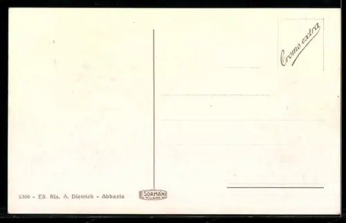 AK Ica, Ortspanorama