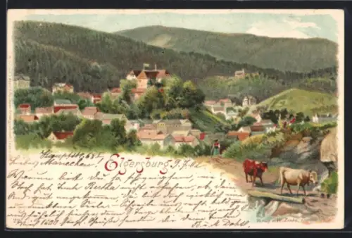 Lithographie Elgersburg, Totalansicht aus der Vogelschau