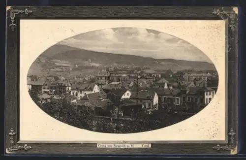 AK Neustadt, Totalansicht, Rahmen