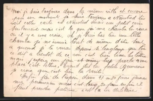 AK Neustadt, Totalansicht, Rahmen