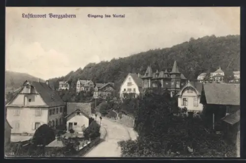 AK Bergzabern, Der Eingang ins Kurtal