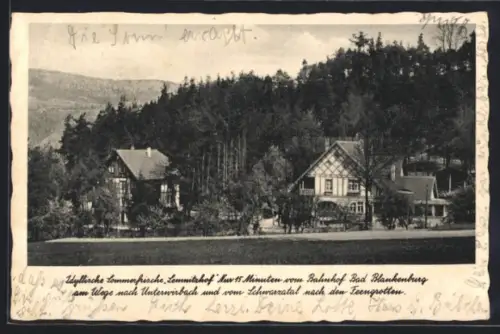 AK Bad Blankenburg, Gasthaus Lemnitzhof am Wege nach Unterwirbach und vom Schwarzatal nach den Feengrotten