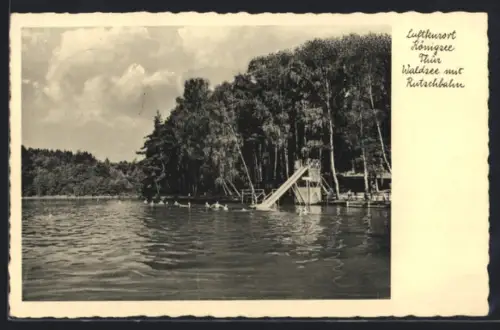 AK Königsee, am Waldsee mit der Rutschbahn