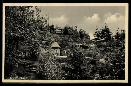 AK Holzminden, Erholungsheim Tannengrund des NS-Frontkämpferbundes Stahlhelm