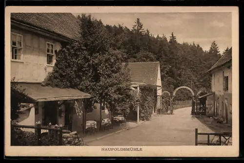 AK Eisenberg i. Thür., Gasthaus Naupoldsmühle mit Strassenpartie