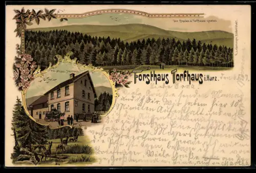 Lithographie Torfhaus i. Harz, Forsthaus Torfhaus, Brocken
