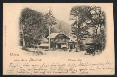 AK Ilsenburg, Ilsenthal, Princess Ilse, Waldgasthaus