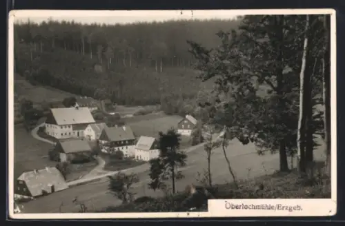 AK Oberlochmühle /Erzgeb., Ortsansicht, Mühlengebäude, Wald