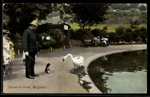 AK Brighton, Queen`s Park, Polizist mit Hund und fauchendem Schwan, Polizei