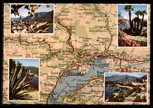 AK Locarno /Lago Maggiore, Panorama mit Ascona, Brissago und Ronco, Palmen, Uferpartie, Passepartout