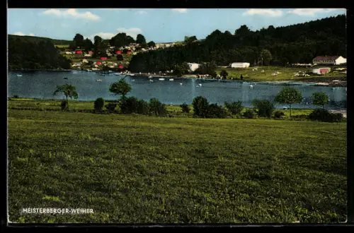 AK Heisterberg, Heisterberger Weiher, Campingplatz Karl Scheiberg, Uferpanorama
