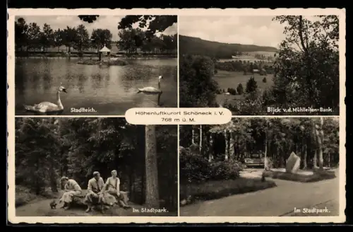 AK Schöneck i. V., Stadtteich, Blick von der Mühlleiten-Bank, Stadtpark