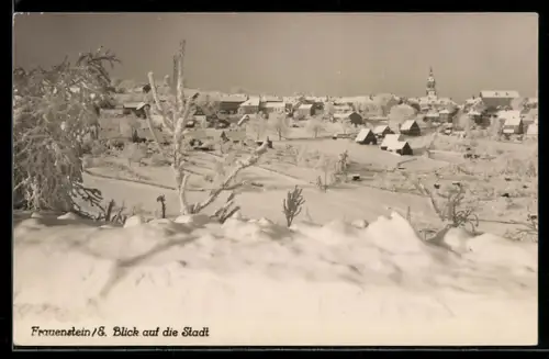 AK Frauenstein /S., Ortsansicht im Winter