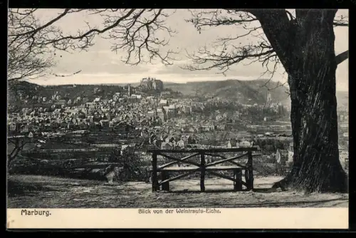 AK Marburg, Stadtansicht von der Weintrauts-Eiche