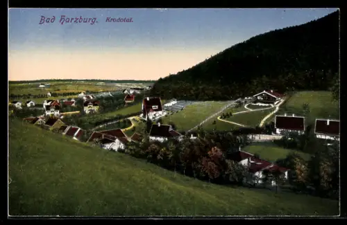 AK Bad Harzburg, Krodotal, Ortsansicht aus der Vogelschau