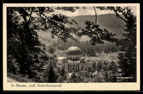 AK St. Blasien, Dom und Umgebung aus der Vogelschau