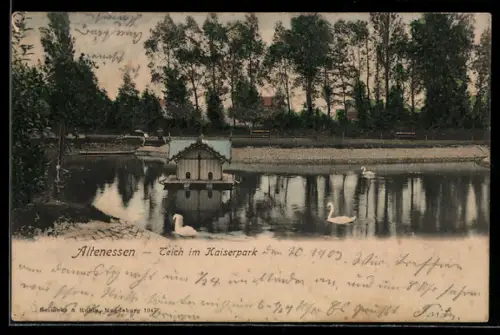 AK Altenessen, Teich im Kaiserpark, Schwäne, Inselchen
