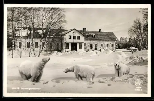 AK Lulea, Järnvägsstationen, Eisbären